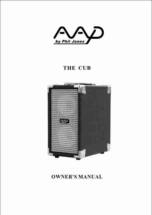 American Acoustic Development Musical Instrument Amplifier CUB AG-100-page_pdf